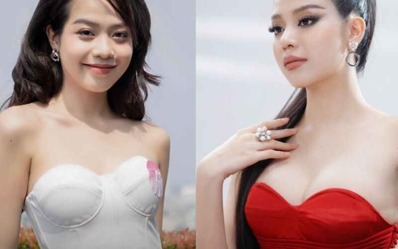 Thu Cúc: Địa chỉ nâng ngực Hà Nội uy tín (Nguồn: Internet)