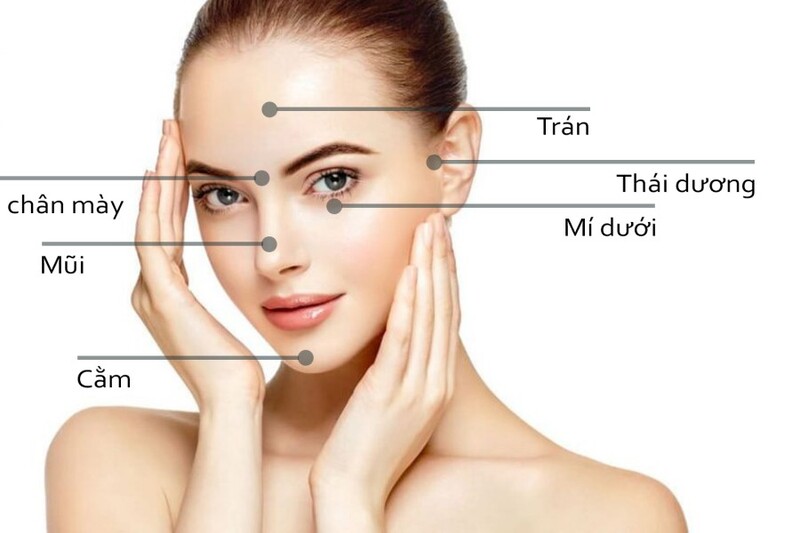 Các vùng trên mặt phù hợp để tiêm Botox (Nguồn: Internet)