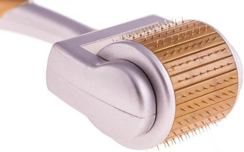 Lăn kim (Nguồn: Internet)